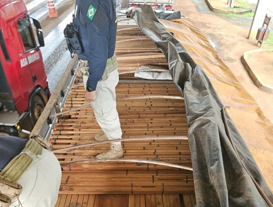 CRIME: PRF apreende quase 100 metros cúbicos de madeiras ilegais