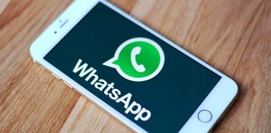 Diretor da PF, bloquear Whatsapp não prejudica direito à comunicação