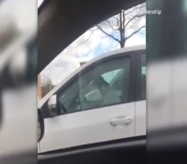 IMPACIENTE - Cachorro mete a pata na buzina ao ficar preso no carro 