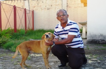 APÓS APELO - Vacinado e bem tratado cachorro Ventania permanece morando na Câmara de Vereadores