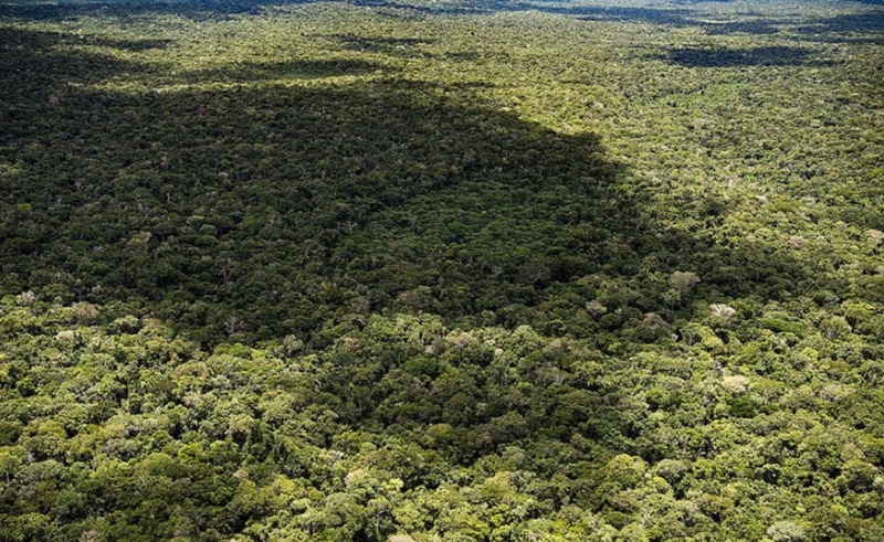 LEVANTAMENTO: Manter 80% da Amazônia custa três vezes menos que emendas parlamentares