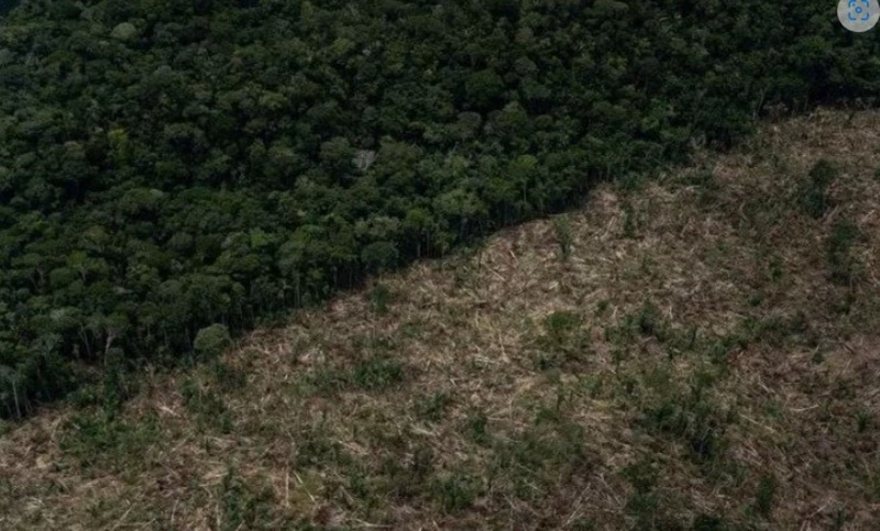 TRISTEZA: Novo recorde de desmatamento na Amazônia para o primeiro semestre