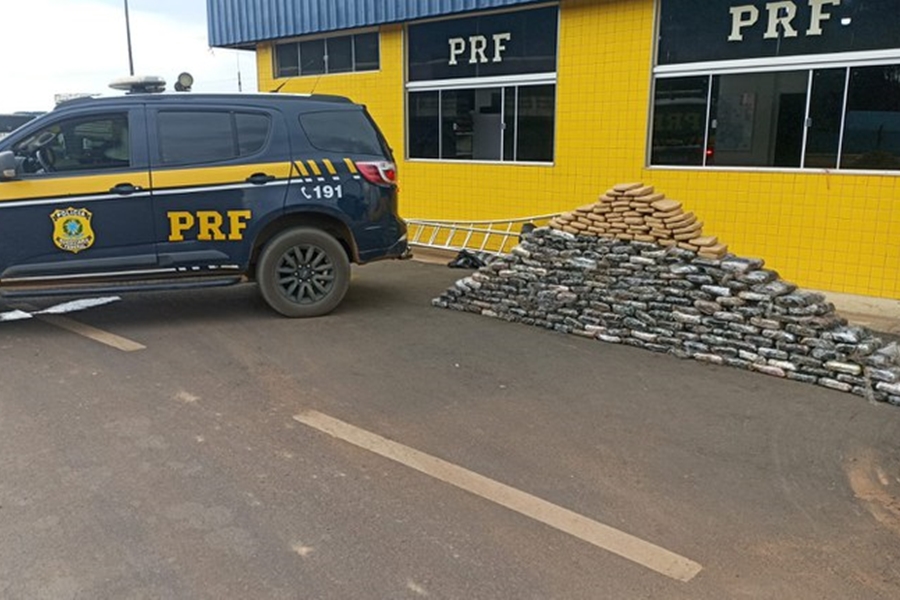 SKUNK: PRF faz apreensão de 220 quilos de drogas em caminhão com castanha