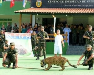 Onça ataca soldado em evento da Tocha Olímpica e é morta a tiros