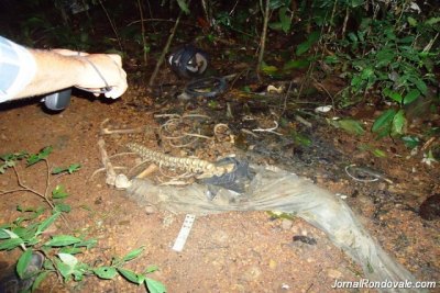 SERINGUEIRAS  - Ossada humana é encontrada na Zona Rural 