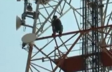 DESESPERO - Endividado e desempregado homem pula de torre de celular e morre na hora -  VÍDEO COM CENAS FORTES