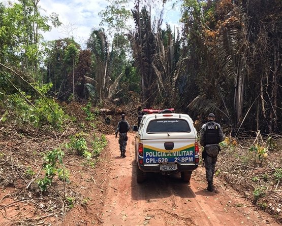 PM realiza operação para coibir crimes ambientais em Reserva 