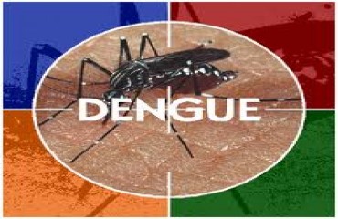 Porto Velho está entre as 24 cidades em risco de surto de dengue 