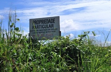 Mato alto e muita sujeira tomam conta de terrenos e ruas de bairro populoso de Porto Velho - Fotos