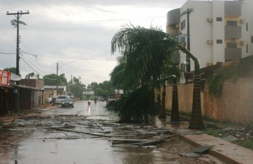 VENDAVAL II – Zona Sul da capital tem árvores arrancadas, galpões e residências destelhadas - Fotos e Vídeo