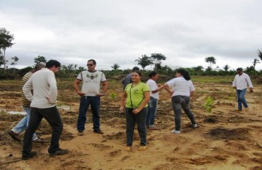 Projeto de manejo do babaçu deve ser implantado no Joana D’Arc II - Fotos