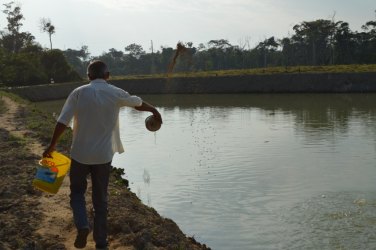 Rondônia terá frigoríficos de pescado em Porto Velho, Itapuã do Oeste e Ji-Paraná