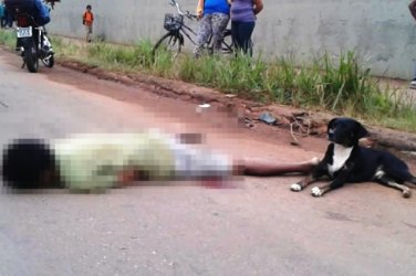 Homem morre atropelado e seu cachorro guardava o corpo