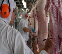 Singapura vai comprar carne bovina e suína de Rondônia e Acre