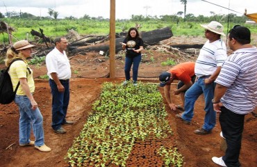 Ritmo acelerado no plantio de mudas e seminário para produtores marcam inicio de 2011 para ONG Raiz Nativa