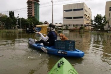 Professor auxilia no resgate de animais vítimas da enchente