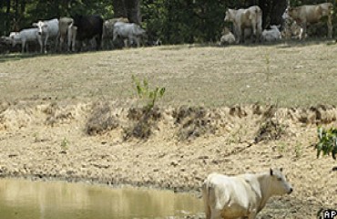 Seca nos EUA traz oportunidades para Brasil