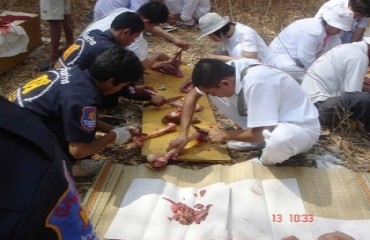 CANIBALISMO - Restaurante brasileiro causa polêmica ao oferecer carne humana no cardapio