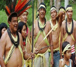 CIMI: Relatório denuncia morte de 14 índios em Rondônia