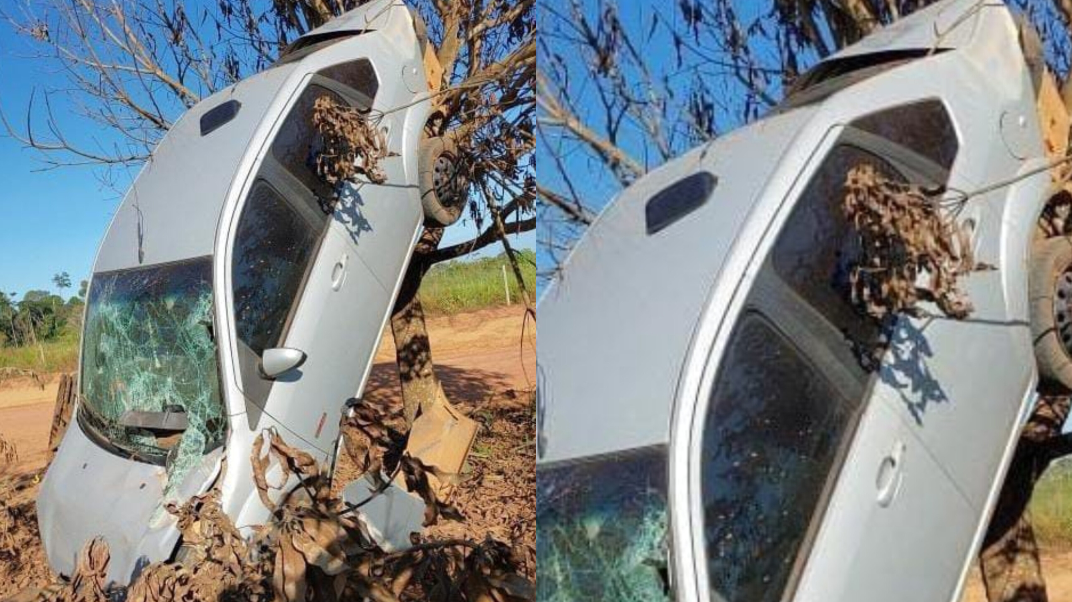 IMPRESSIONANTE: Carro fica engatado em árvore após grave capotamento