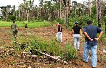 Governo de Rondônia quer zerar o índice de desmatamento até 2015