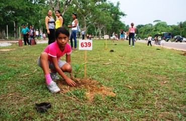 Mais de dez mil pessoas participam de plantio recorde na capital - Confira fotos