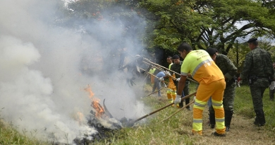 ICMBIO divulga resultado para curso de brigadistas do Parque Mapinguari