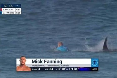 Mick Fanning sofre ataque de tubarão durante final do WCT - VÍDEO