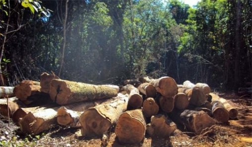 Cimi denuncia invasão de terras indígenas 