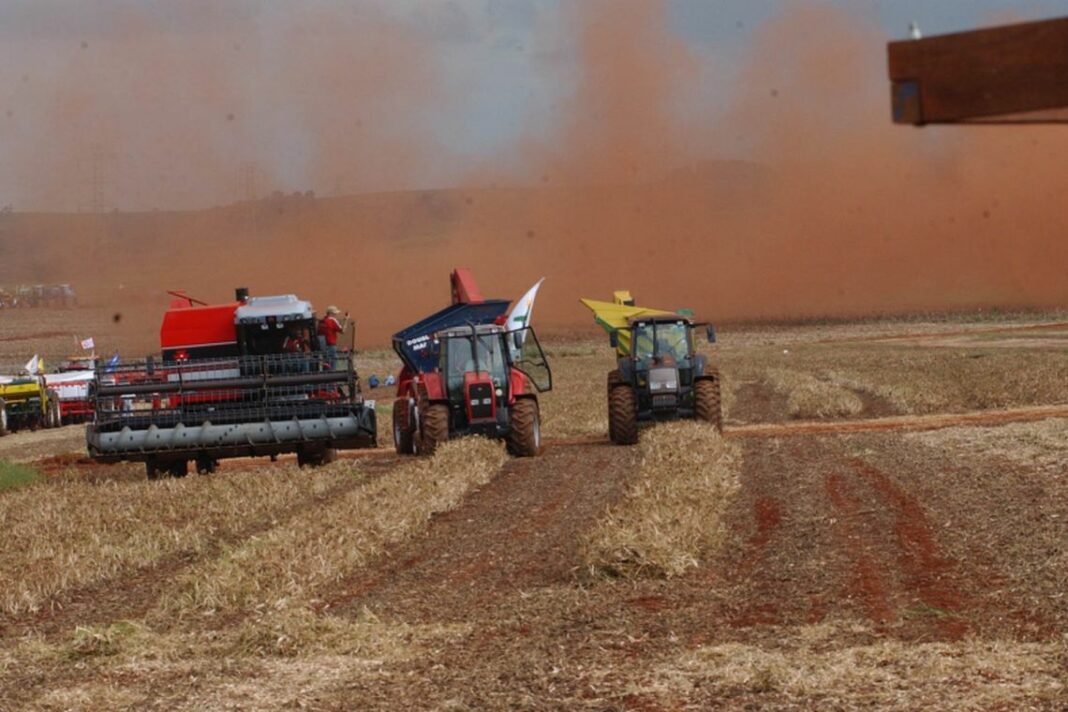 AUMENTO: Produção de grãos deve alcançar 235,3 milhões de toneladas, diz Conab