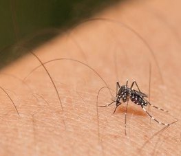 Agevisa promove dia D de Mobilização contra o aedes aegypt