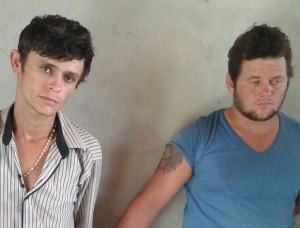 Bandidos fazem “limpa” em sítio em área rural 