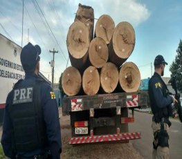 PRF prende motorista por transporte ilegal de madeira na BR-364