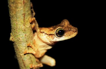 Acadêmica de Biologia vence concurso de fotografia da Unir