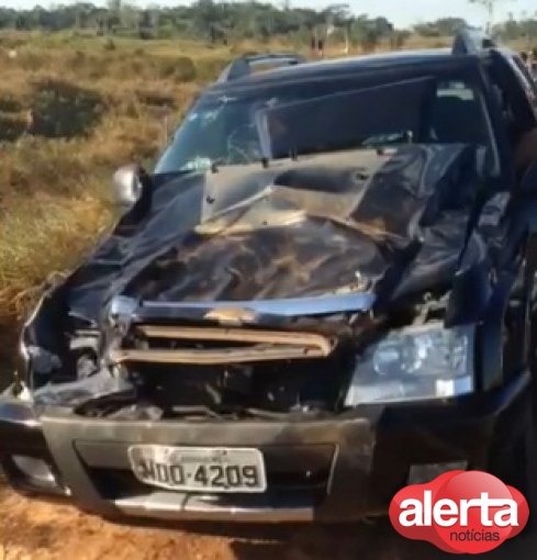 Motorista atropela vaca durante viagem