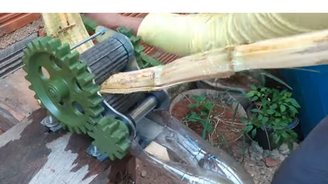 ATENÇÃO: Doença de Chagas pode estar no seu copo de alimento preferido 