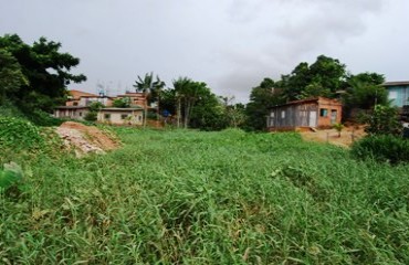 BECO DO HORROR - Moradores temem alagações e fazem alerta à Defesa Civil municipal – Fotos