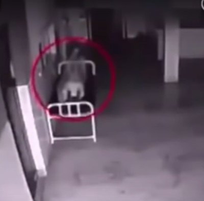 Vídeo flagra espírito saindo do corpo de paciente em hospital
