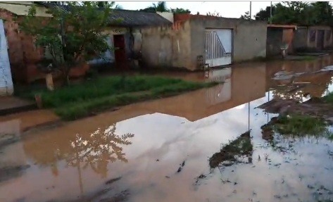 PRECÁRIO: Mato, esgoto e lama, isolam casas em rua do bairro Marcos Freire