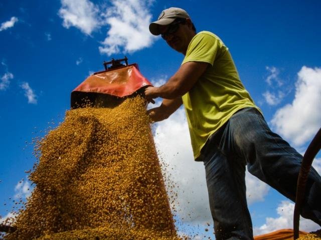 Chicago despenca mais de 40 pts após taxação chinesa sobre grão americano