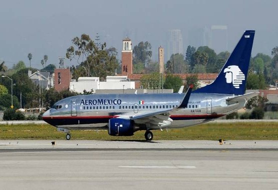 Cobra assusta passageiros em voo da Aeroméxico - Vídeo