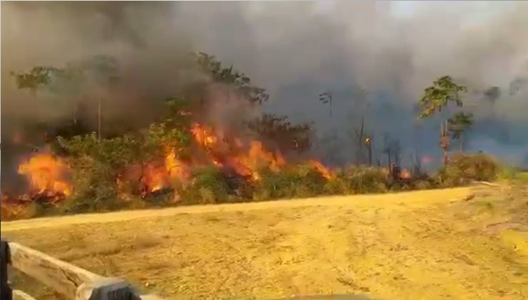 VÍDEO: Casal de idosos morre carbonizado em incêndio de grandes proporções