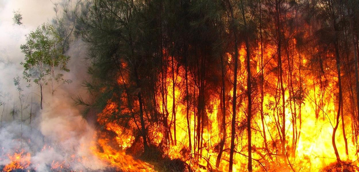 FLORESTA EM CHAMAS: Avião do ICMBio despeja água em focos de incêndios; veja vídeo