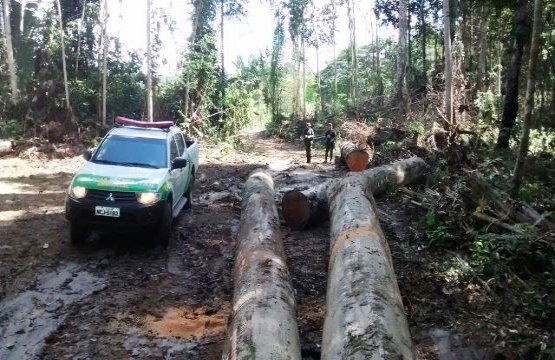 OPERAÇÃO - Sitiante ataca guarnição policial com motosserra