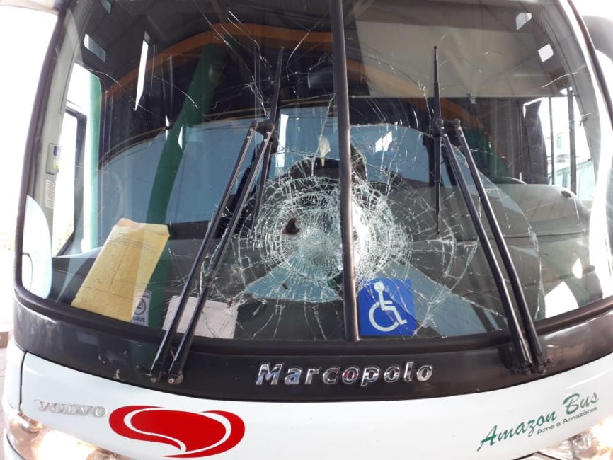 IMPACTO: Pássaro atinge ônibus da Eucatur e quase causa tragédia