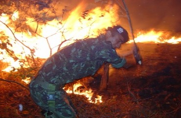 Incêndio queima área e coloca em risco Batalhão Ambiental