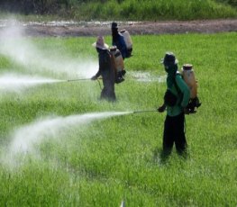 MPF/RO alerta perigos no projeto de lei que altera regulamentação dos agrotóxicos