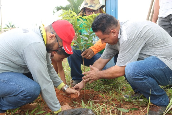 BAIRRO PLANALTO: Edesio Fernandes acompanha serviços de limpeza e arborização