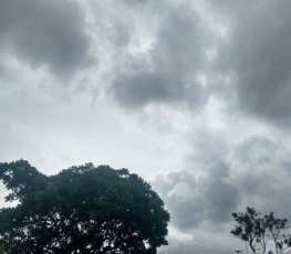 TEMPO: Céu nublado e possibilidade de chuva nesta sexta em RO, informa Sipam