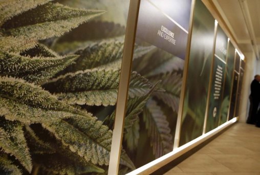 Nova York inaugura primeira clínica de maconha medicinal